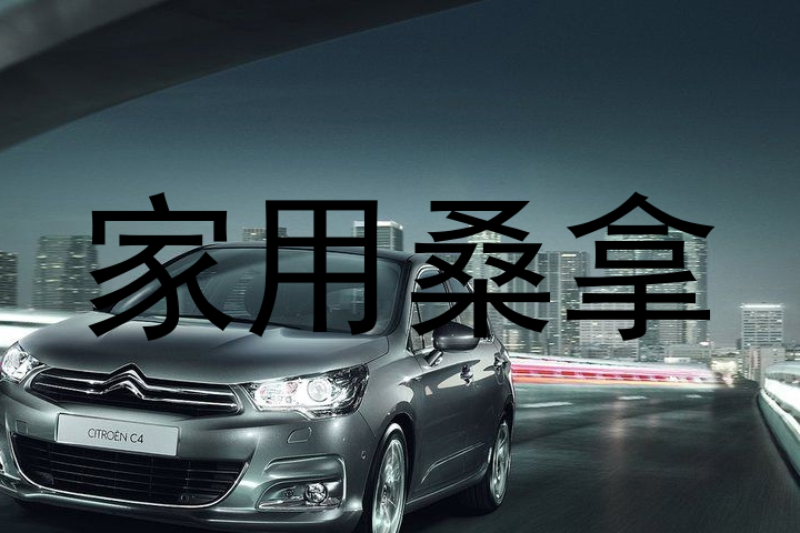 家用桑拿