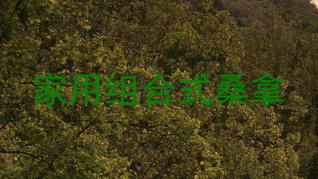 家用组合式桑拿