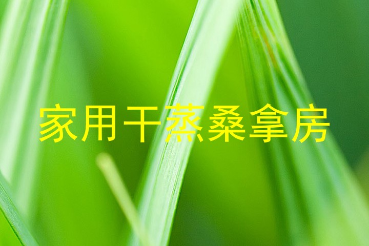 家用干蒸桑拿房