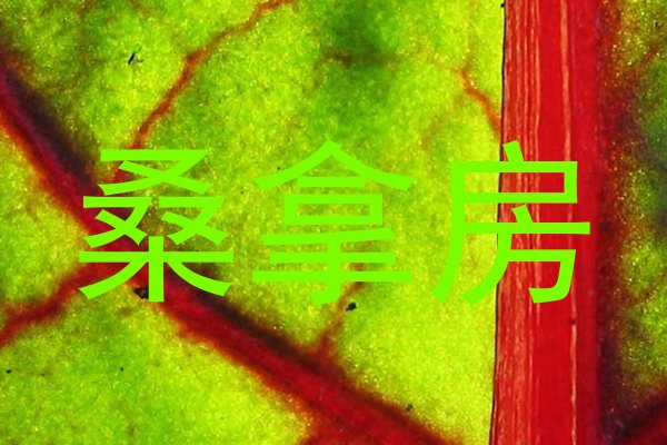 桑拿房