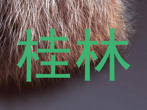 桂林