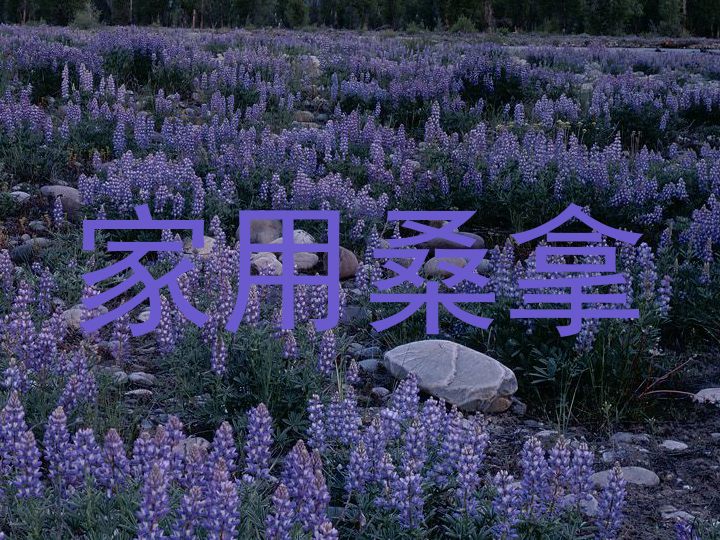 家用桑拿