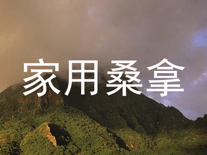 家用桑拿