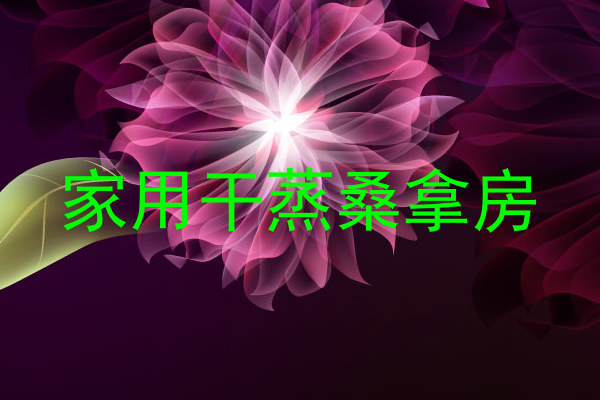 家用干蒸桑拿房