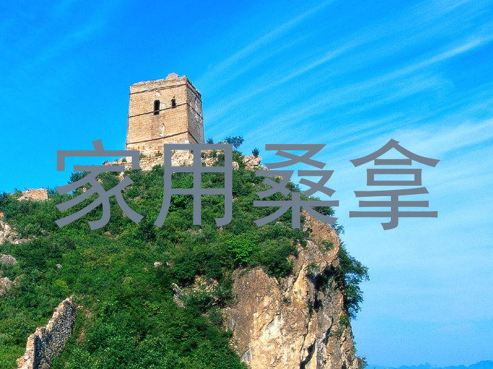 家用桑拿