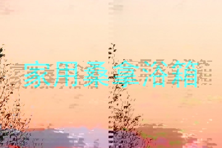 家用桑拿浴箱
