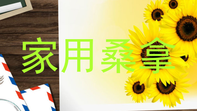 家用桑拿