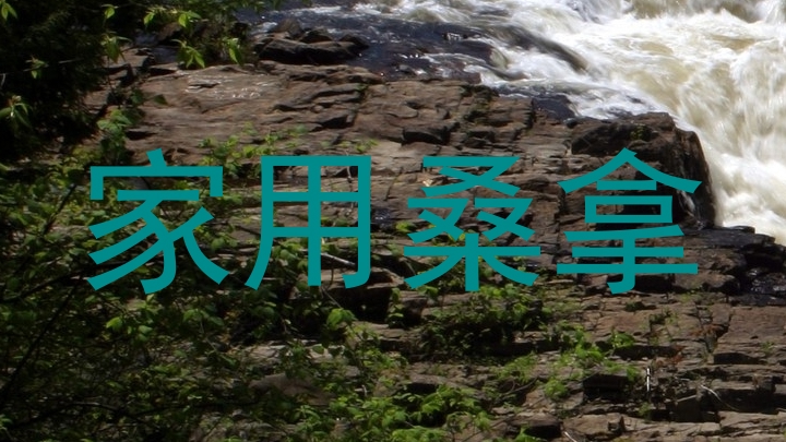 家用桑拿