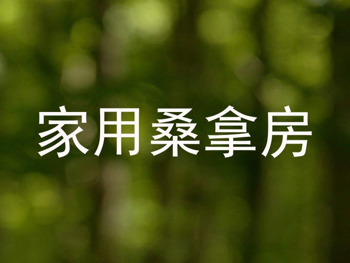 家用桑拿房