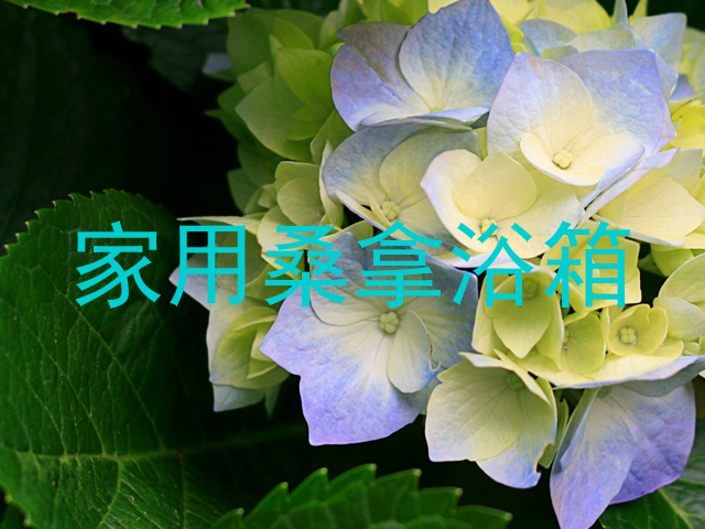 家用桑拿浴箱