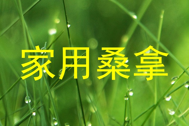 家用桑拿