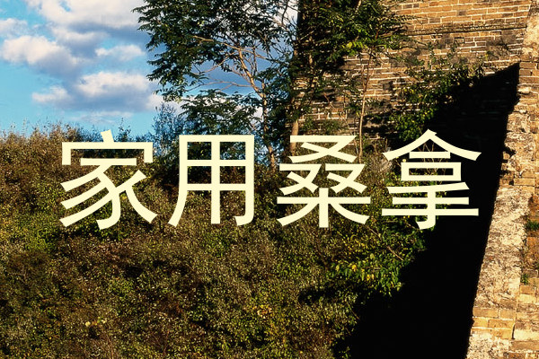 家用桑拿