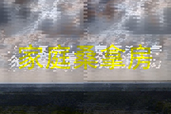 家庭桑拿房