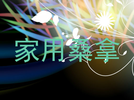 家用桑拿