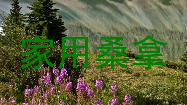 家用桑拿