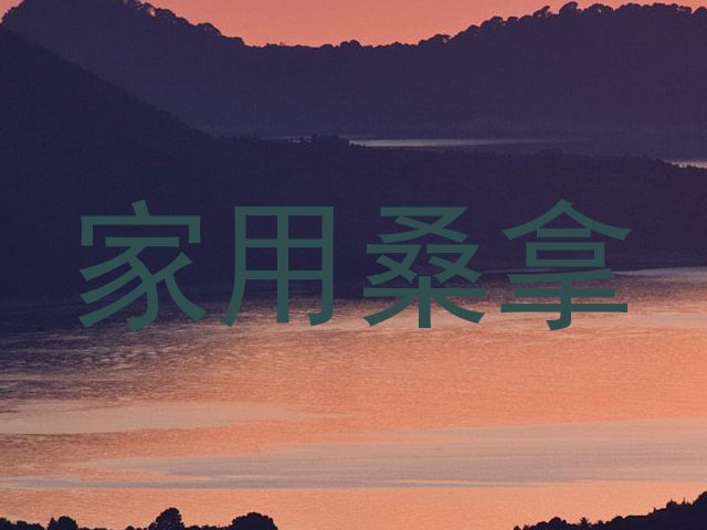 家用桑拿