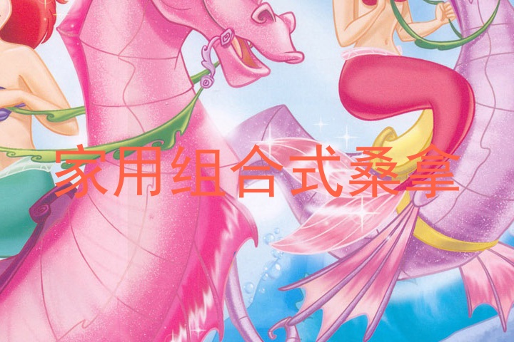 家用组合式桑拿