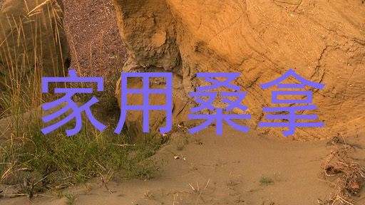家用桑拿