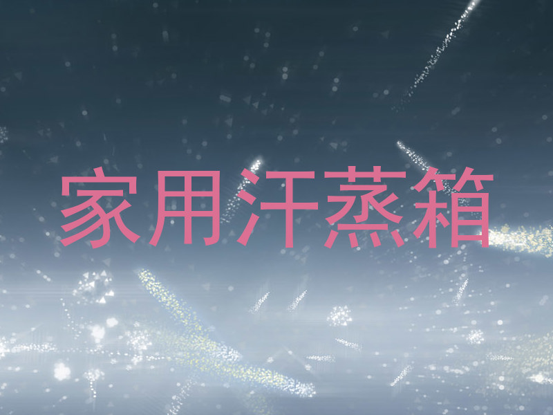 家用汗蒸箱