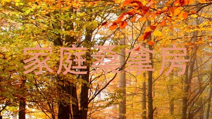 家庭桑拿房