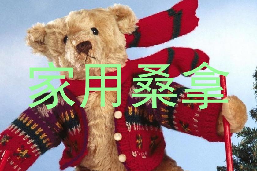 家用桑拿