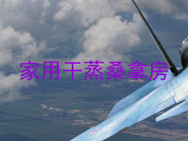家用干蒸桑拿房