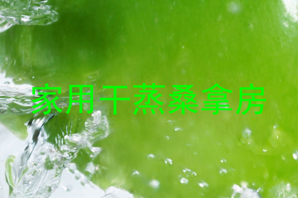 家用干蒸桑拿房