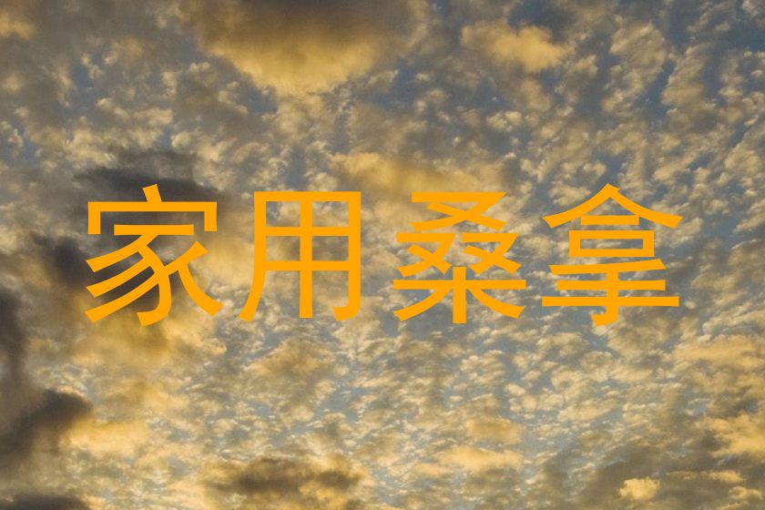 家用桑拿