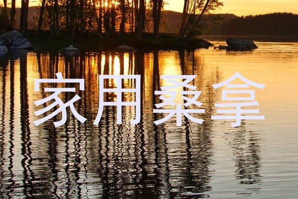 家用桑拿
