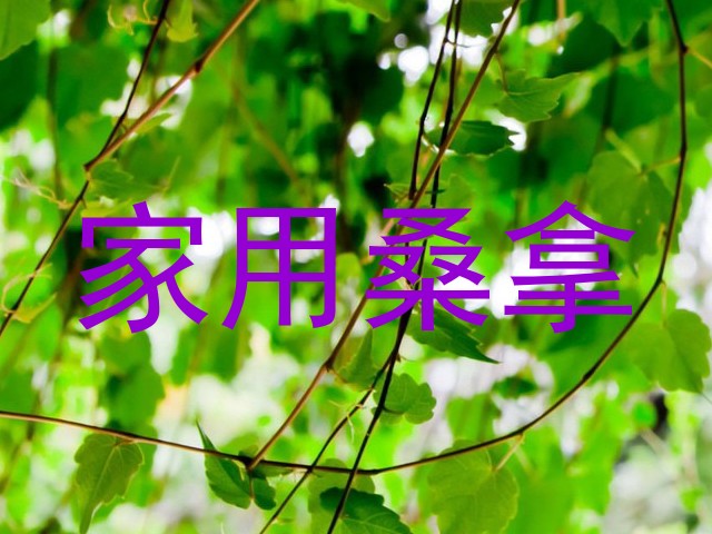 家用桑拿