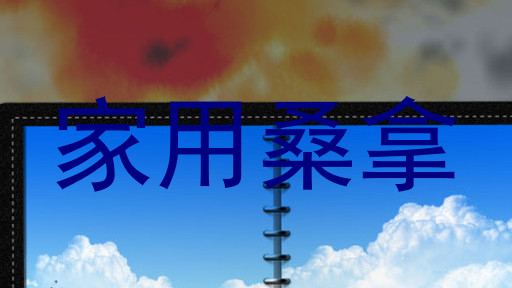 家用桑拿