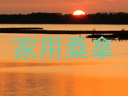家用桑拿