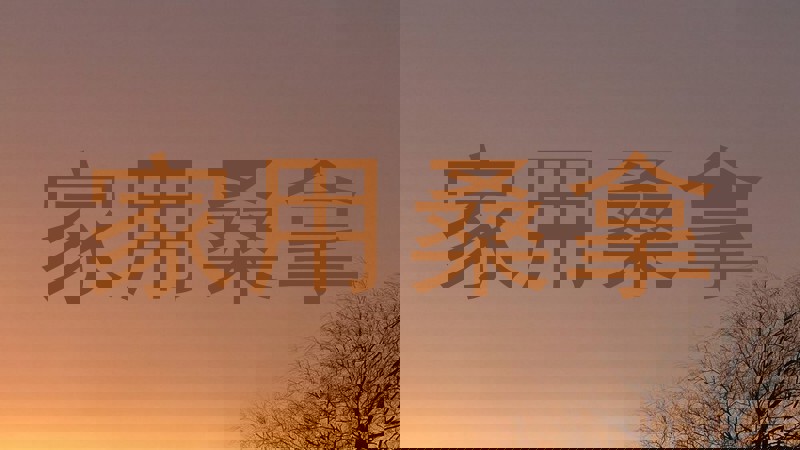 家用桑拿