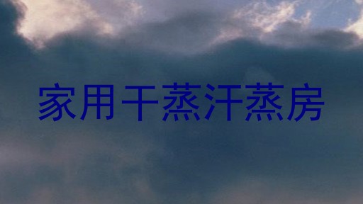 家用干蒸汗蒸房