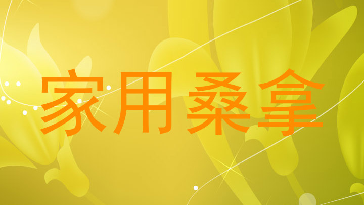 家用桑拿