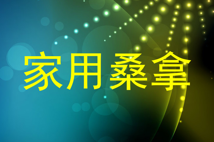 家用桑拿
