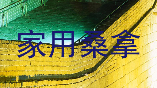 家用桑拿