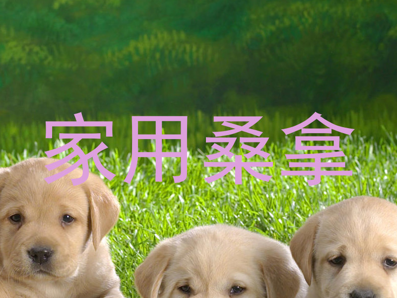 家用桑拿