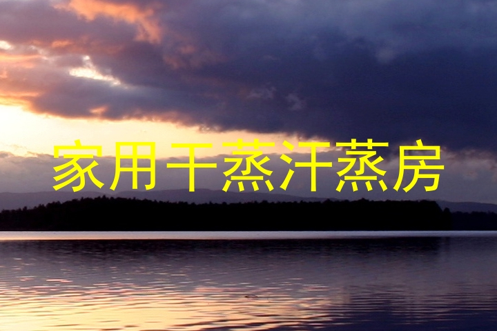 家用干蒸汗蒸房