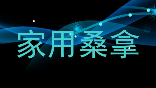家用桑拿