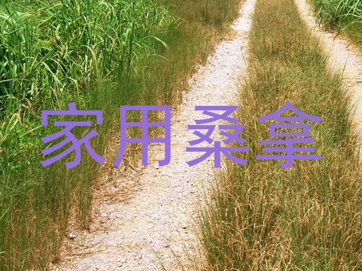 家用桑拿