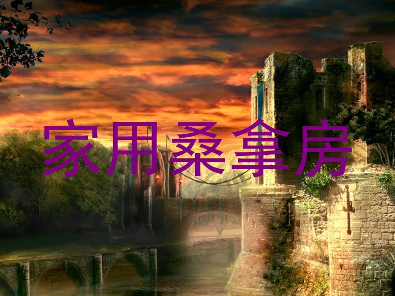 家用桑拿房