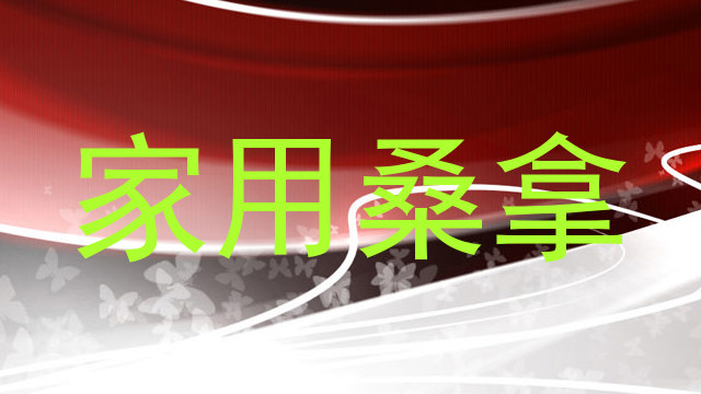 家用桑拿