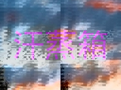 汗蒸箱