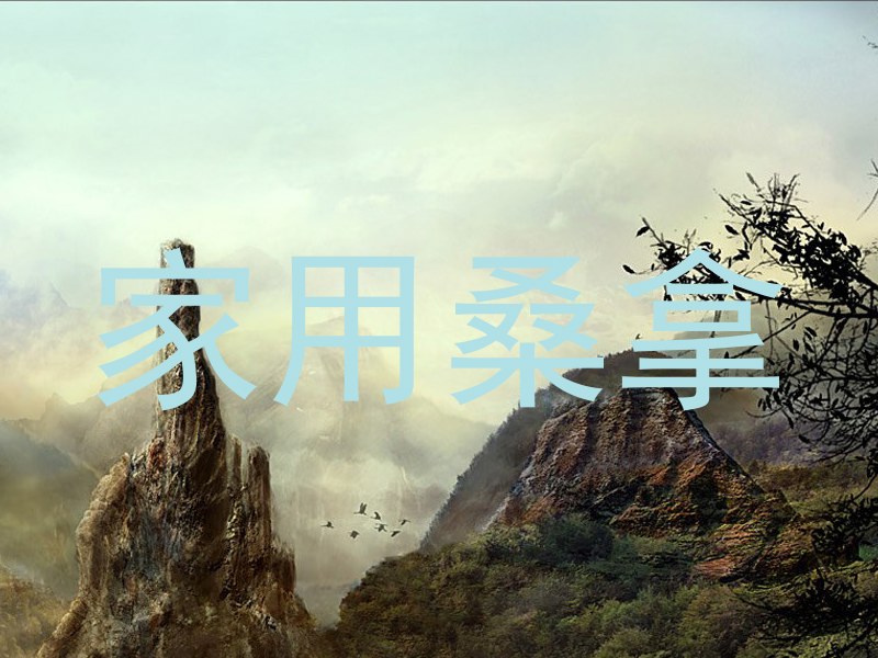 家用桑拿