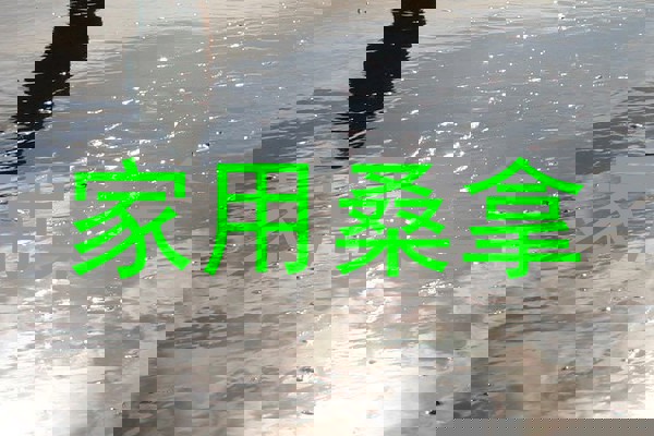 家用桑拿