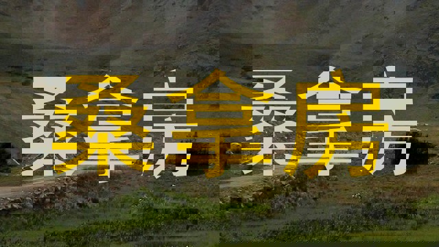 桑拿房