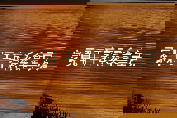 家用干蒸桑拿房