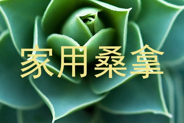 家用桑拿