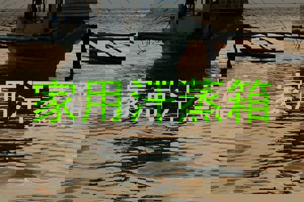 家用汗蒸箱